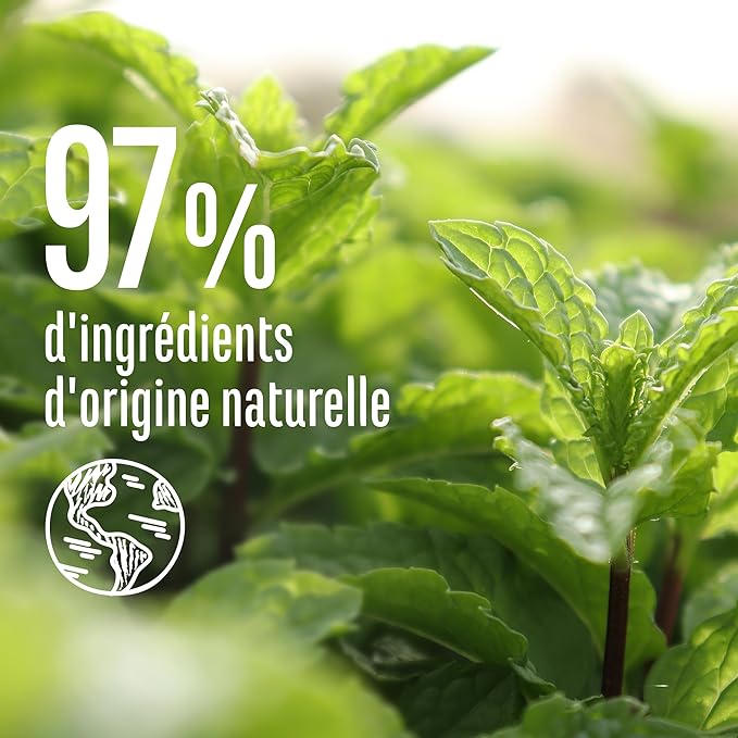 Le Petit Marseillais Shampooing Anti-Pelliculaire à la Menthe Bio & Huiles Essentielles 300ml – Image 2