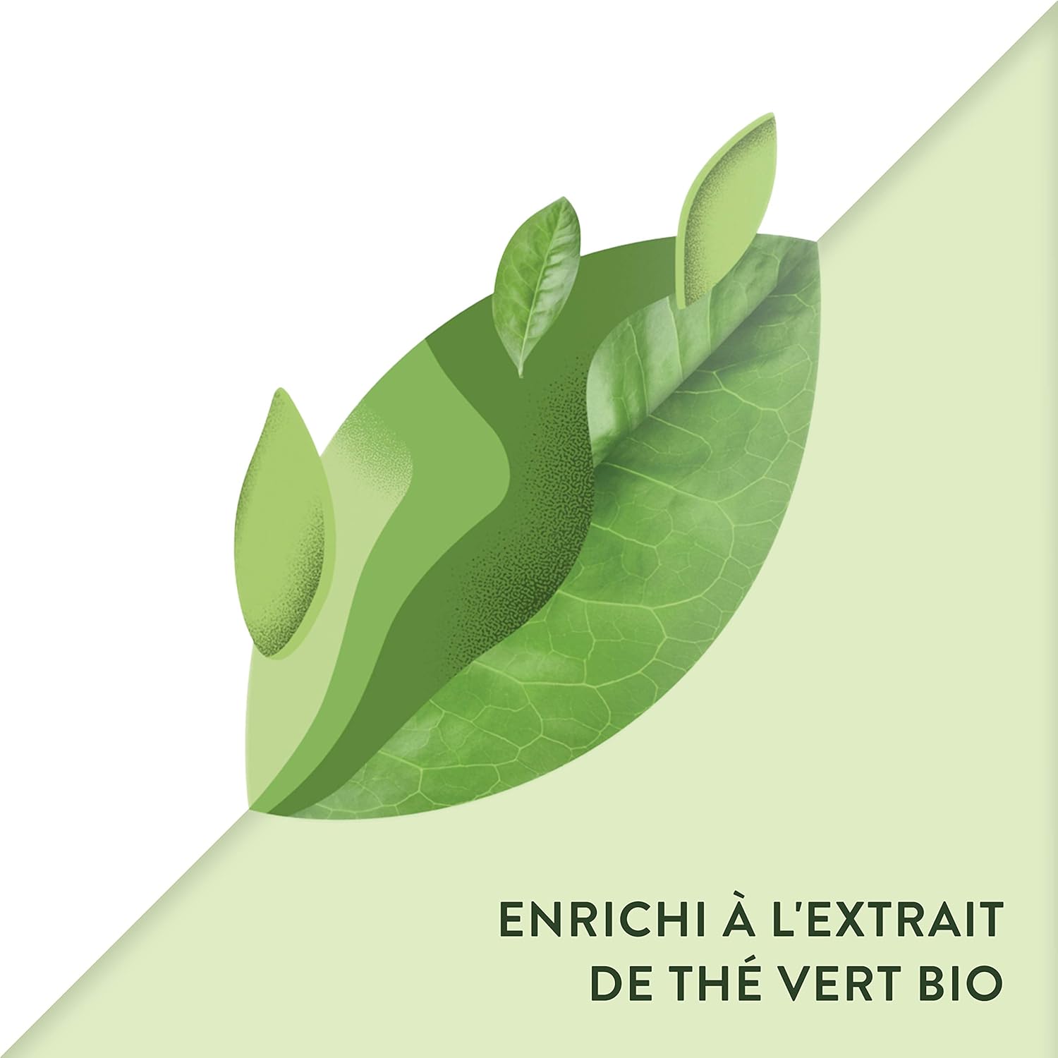Timotei Shampooing Purifiant à l'Extrait de Thé Vert 400ml – Image 2